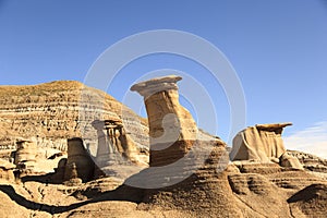 Dinosaur Provincial Park photo