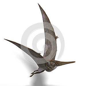 Dinosaur Pteranodon