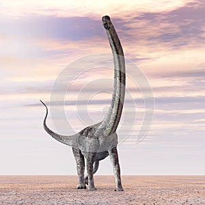 Dinosaur Puertasaurus