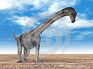 Dinosaur Puertasaurus