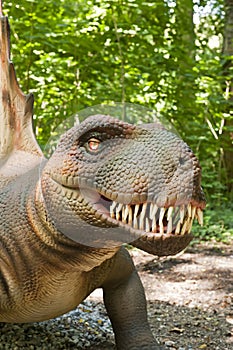 Dinosaur's head
