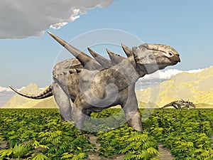 Dinosaur Sauropelta