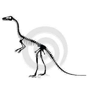 Dinosaur Silhouette