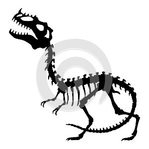 Dinosaur skeleton. Dino monsters icon. Shape of real animal. Sketch of prehistoric reptiles. Vector illustration
