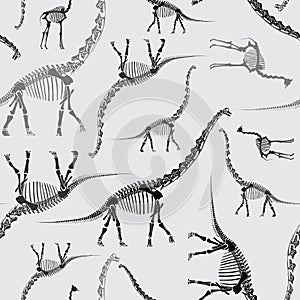 Dinosaur Skeleton Seamless Pattern in Greys photo