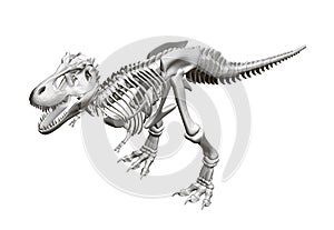 Dinosaur skeleton. Isometric view. 3D. Vector illustration