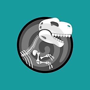 Dinosaur skeleton . Remains of Tyrannosaurus. Skull T-Re