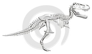 Dinosaur skeleton. Side view. 3D. Vector illustration