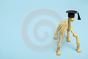 Dinosaur skeleton in a student hat on a blue background. Medical education concept, study of osteology with copy space