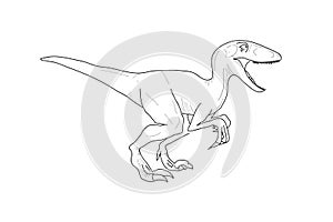 A Dinosaur Sketching, Raptor, Vector