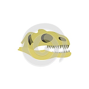 Dinosaur skull icon, flat style