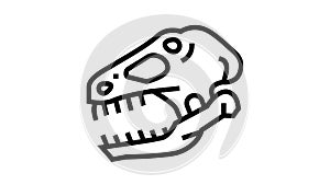 dinosaur skull line icon animation