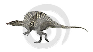 Dinosaur Spinosaurus