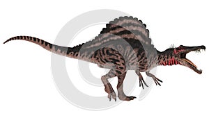 Dinosaur Spinosaurus