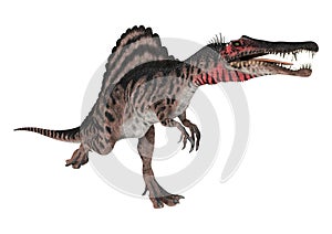 Dinosaur Spinosaurus