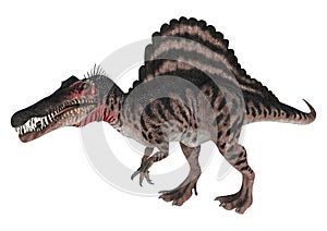 Dinosaur Spinosaurus