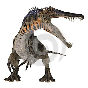 Dinosaur Spinosaurus photo