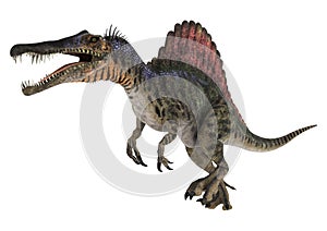 Dinosaur Spinosaurus photo