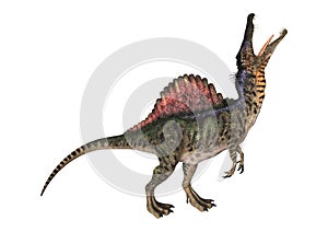 Dinosaur Spinosaurus