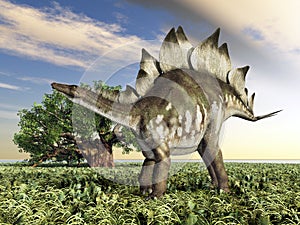 Dinosaur Stegosaurus