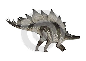 Dinosaur Stegosaurus