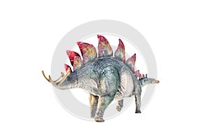Dinosaur , Stegosaurus isolated background