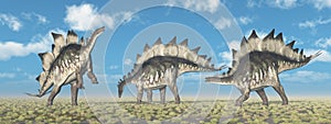 Dinosaur Stegosaurus in a landscape