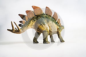 Dinosaur , Stegosaurus on white background