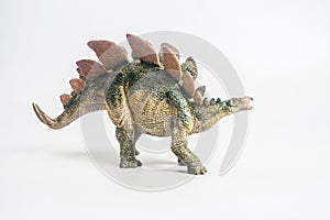 Dinosaur , Stegosaurus on white background