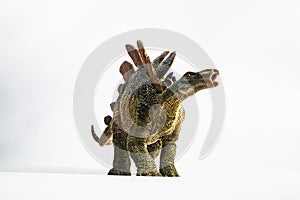 Dinosaur , Stegosaurus on white background