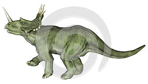 Dinosaur Styracosaurus