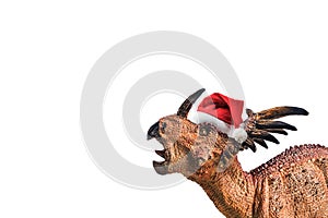 Dinosaur , Styracosaurus on white background