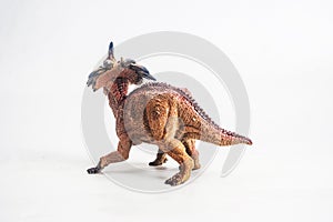 Dinosaur , Styracosaurus on white background