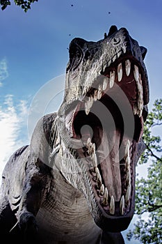 Dinosaur T Rex opens his jaw