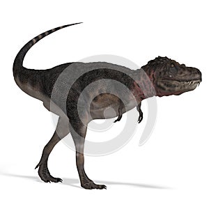 Dinosaur Tarbosaurus