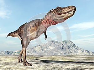 Dinosaur Tarbosaurus