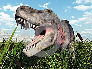 Dinosaur Tarbosaurus