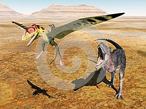The dinosaur Tarbosaurus attacks the pterosaur Peteinosaurus