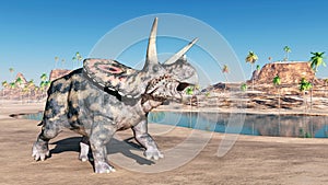 Dinosaur Torosaurus