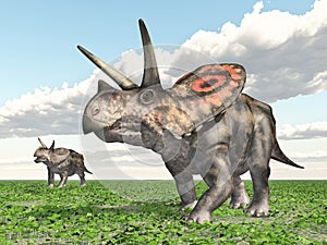Dinosaur Torosaurus
