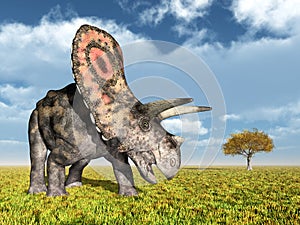 Dinosaur Torosaurus
