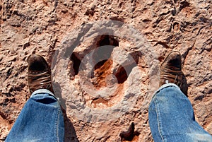 Dinosaur tracks