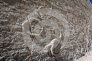 Dinosaur tracks on Cal Orcko Wall - Sucre, Bolivia