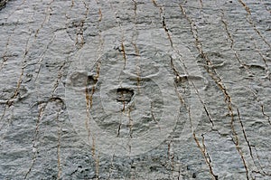 Dinosaur Tracks on the Wall of Cal Orko, Sucre, Bolivia photo