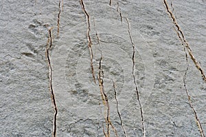 Dinosaur Tracks on the Wall of Cal Orko, Sucre, Bolivia photo