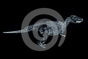 Dinosaur TRex Skeleton in Hologram Wireframe Style. Nice 3D Rendering