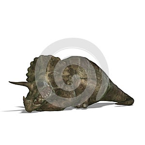 Dinosaur Triceratops