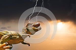 Dinosaur Tyrannorausus Rex (T-Rex) in dramatic weather conditions (toy photography)