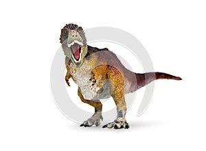 Dinosaur Tyrannosaurus rex feathered covered