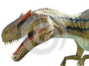 Dinosaur Tyrannosaurus rex isolated on white background
